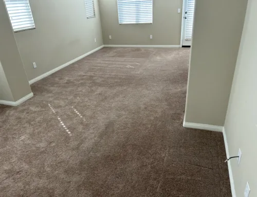 Kelly Residence | Carpet Flooring