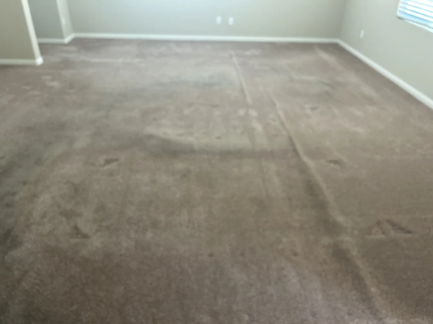 Carpet2Go Carpet Installation Project - Kelly Residence 17